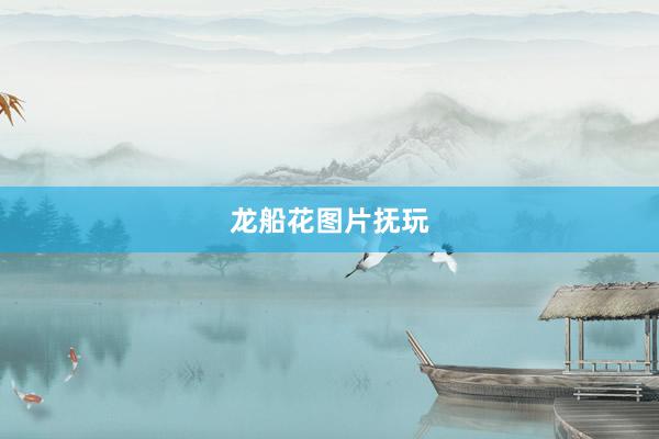 龙船花图片抚玩